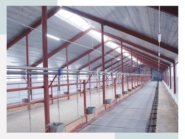 Строительство коровников в Чебаркуле от 644 руб.