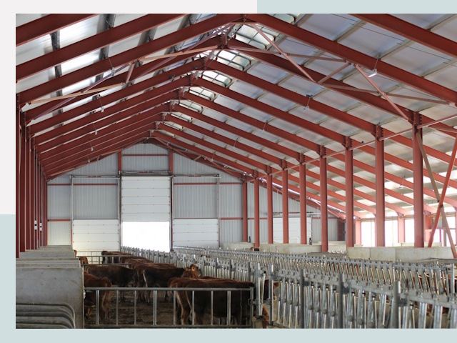 Строительство коровников в Чебаркуле